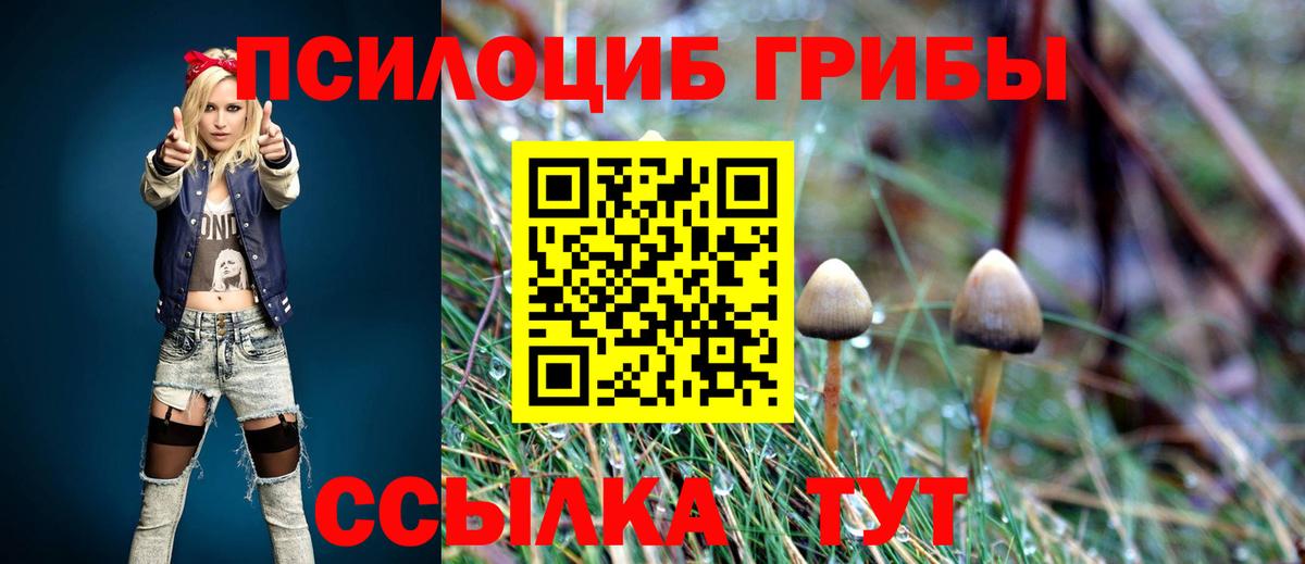Галлюциногенные грибы мухоморы Мариинск